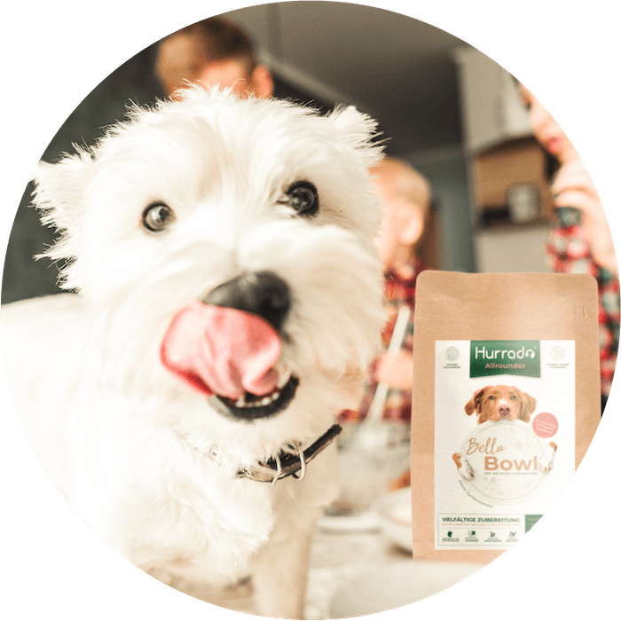 Kostenlose Erstausstattung